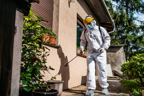 Best Bed Bug Extermination  in Poinciana, FL
