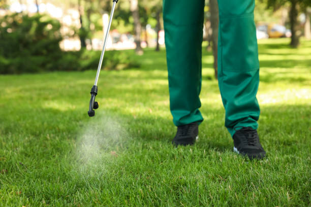 Professional Pest Control in Poinciana, FL