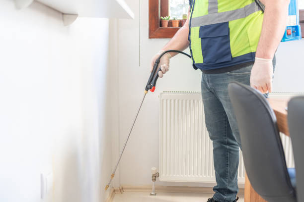 Best Termite Control Services  in Poinciana, FL