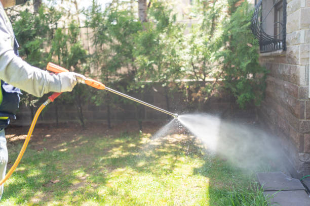 Best Bed Bug Extermination  in Poinciana, FL