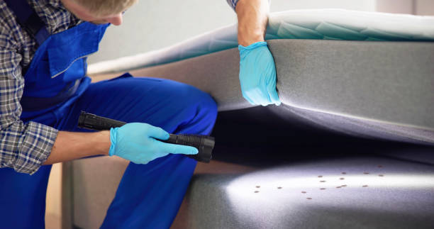 Best Pest Inspection Near Me  in Poinciana, FL